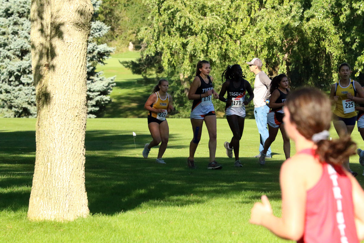 York Cross Country Invite (18).jpg